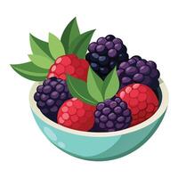 A bowl of berries is shown in the illustration vector