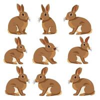 set of icons rabbit vector