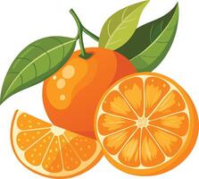 Orange white background vector