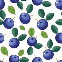Blueberry seamless pattern illustration vector