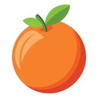 An orange is shown on a white background vector