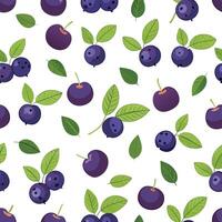A pattern with blueberries and leaves vector