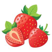 Strawberries with leaves and one half cut vector