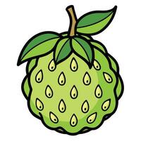 A green fruit with leaves on it vector