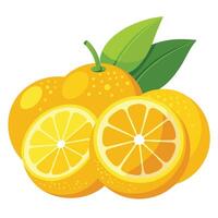 Orange illustration white background vector