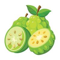 A green fruit with a green leaf on it vector