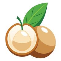 An illustration of a nut with leaves vector