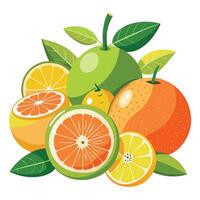 A bunch of oranges and lemons on a white background vector