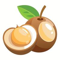 An illustration of a longan fruit vector