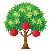 A red fruit tree with green leaves and red berries vector