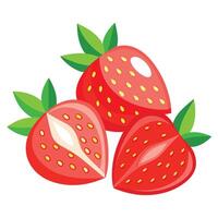 Three strawberries on a white background vector