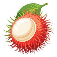 Rambutan fruit with green leaves illustration vector
