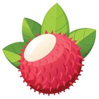 A red rambutan fruit with leaves on a white background vector