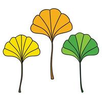 Three ginkgo leaves are shown in different colors vector