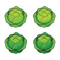 A set of four green cabbage heads vector