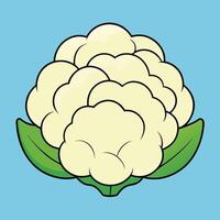 Cauliflower icon on blue background vector