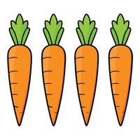 Carrots illustration white background vector