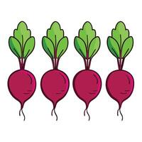 A group of beetroots on a white background vector