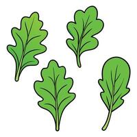 A set of four green leaves on a white background vector