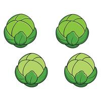 A set of four green artichokes on a white background vector