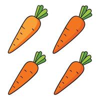 Carrots are shown in a row on a white background vector