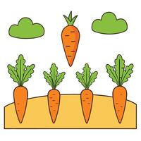 Carrots growing in the field with clouds and sky vector