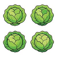 A set of four cabbage leaves with different shapes vector
