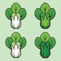 A set of four different types of green and white vegetables vector