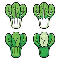 A set of four different types of green vegetables vector