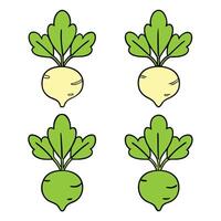 A set of four cartoon turnips with leaves vector