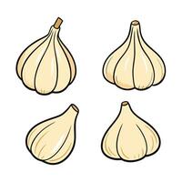 Four garlic cloves on a white background vector