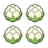 Cauliflower icon set illustration vector