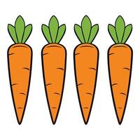 Carrots illustration white background vector