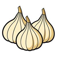 Three garlic bulbs on a white background vector
