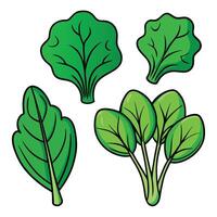 A set of green vegetables on a white background vector