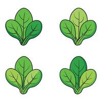 Four different types of spinach leaves vector