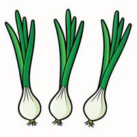 Three onions on a white background vector