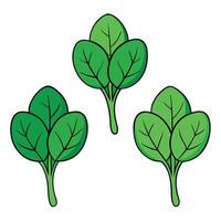 Three green leaves on a white background vector
