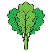 A green leafy vegetable icon on a white background vector