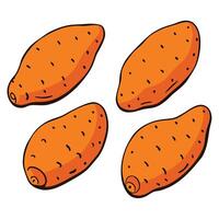 Four sweet potatoes are shown in a row vector