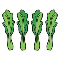 A group of green vegetables on a white background vector