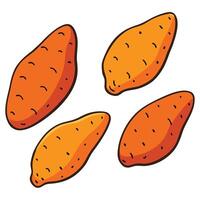 A set of four sweet potatoes on a white background vector