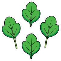 A group of four green leaves on a white background vector