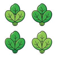 Four different types of spinach leaves vector
