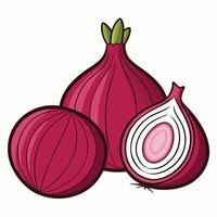 An onion and a half onion are shown vector