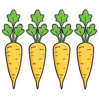 Carrots illustration white background vector