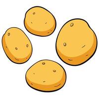 Potatoes illustration white background vector