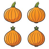 Four different types of pumpkins on a white background vector