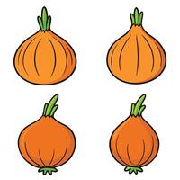 A set of four onions with different sizes and shapes vector