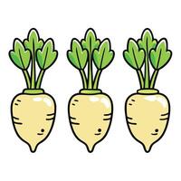 Three turnips on a white background vector